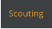 Scouting